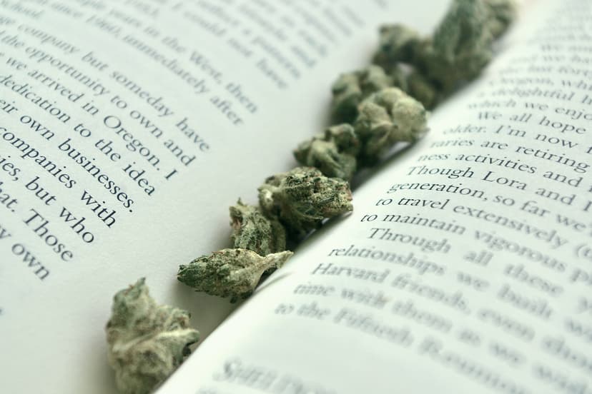 Cannabis and Intellectual Property